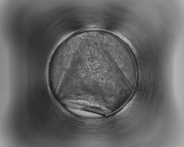 X0000096441333200802141444