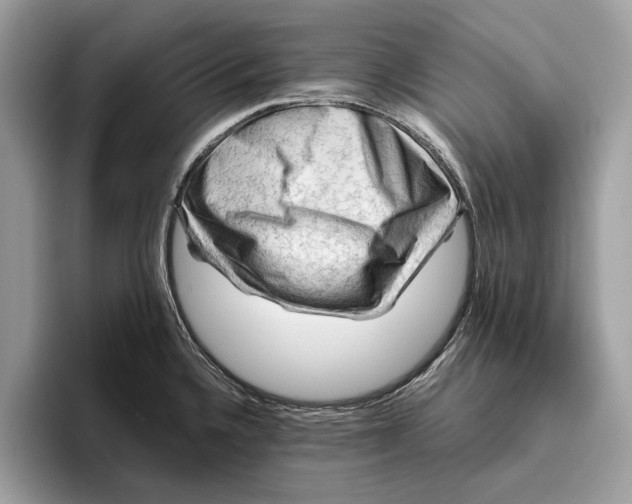 X0000096441336200802141444