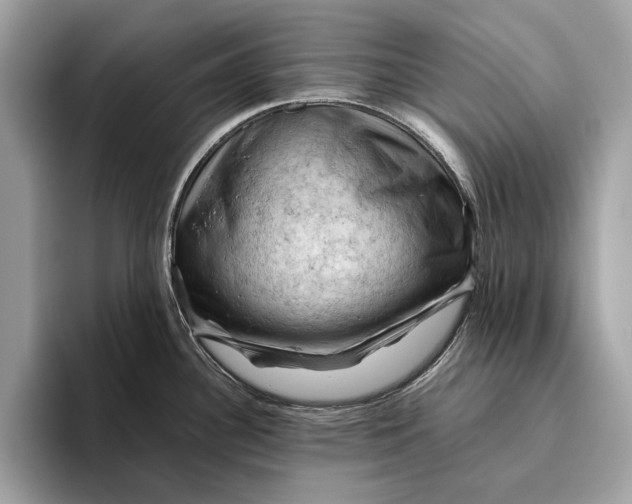 X0000096441340200802141444