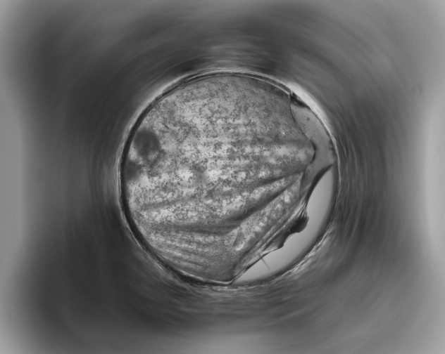 X0000096441341200802141444