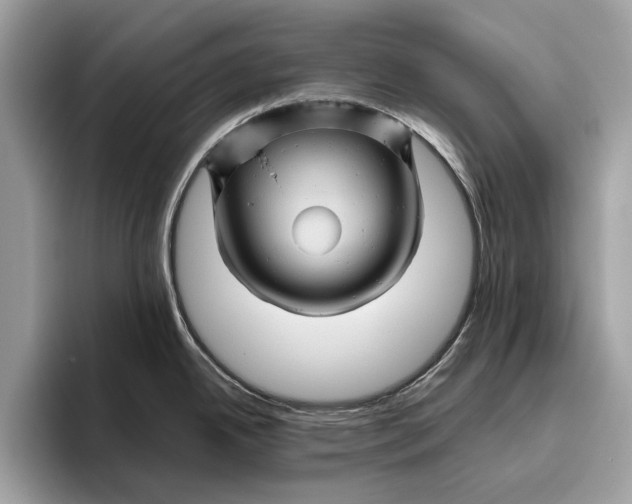 X0000096441342200802141444