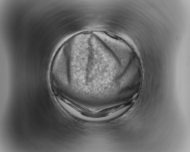 X0000096441344200802141444