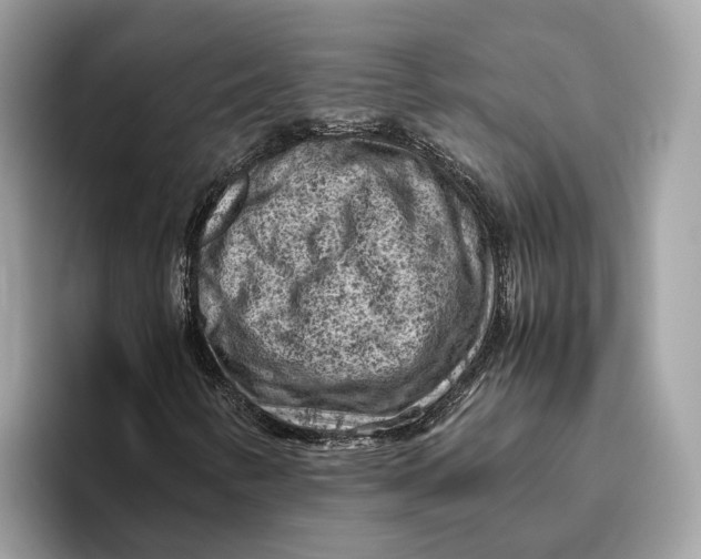 X0000096441346200802141443