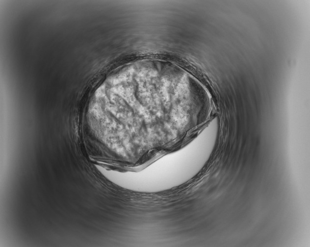 X0000096441348200802141443