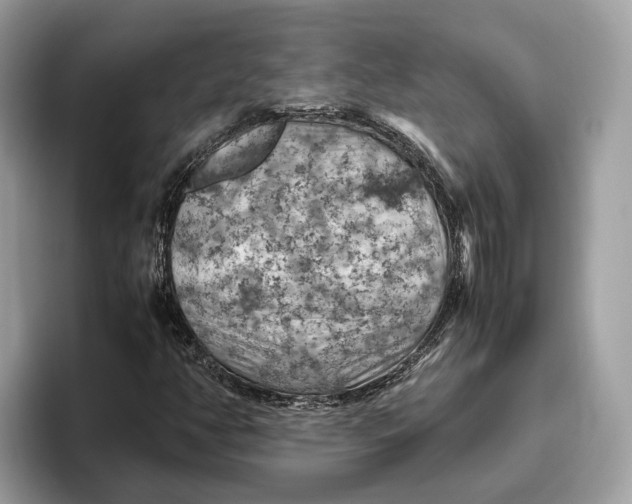 X0000096441350200802141443