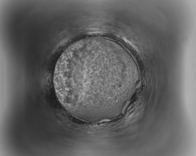 X0000096441351200802141443