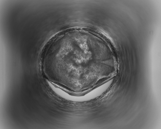 X0000096441352200802141443