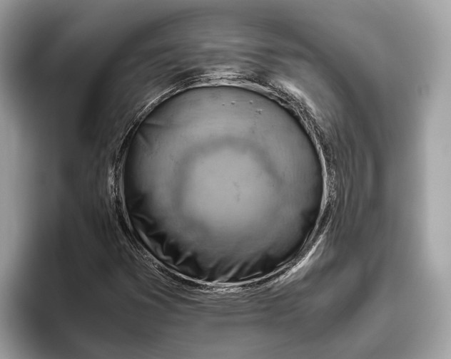 X0000096441353200802141443