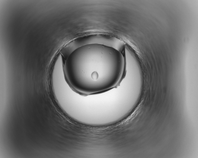 X0000096441357200802141443