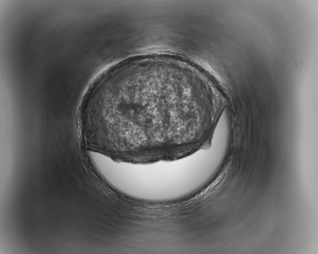 X0000096441358200802141443