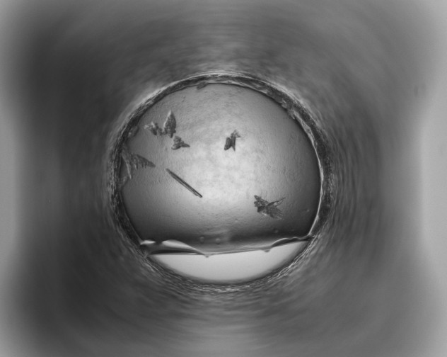 X0000096441359200802141443