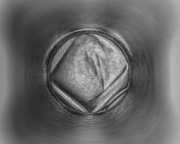 X0000096441360200802141443