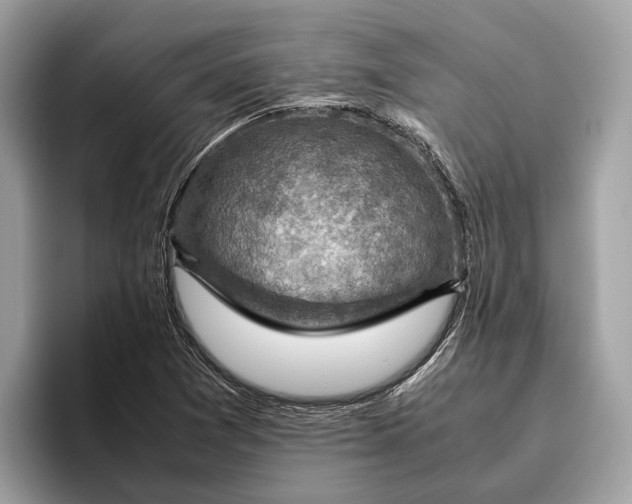 X0000096441361200802141443