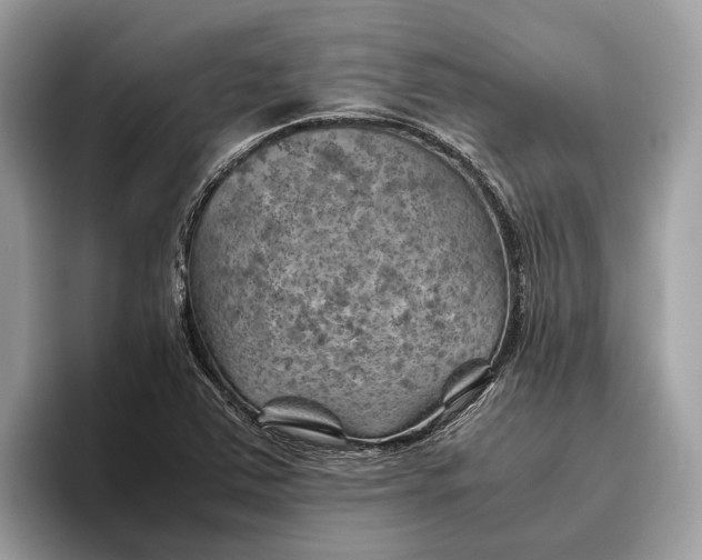 X0000096441363200802141443