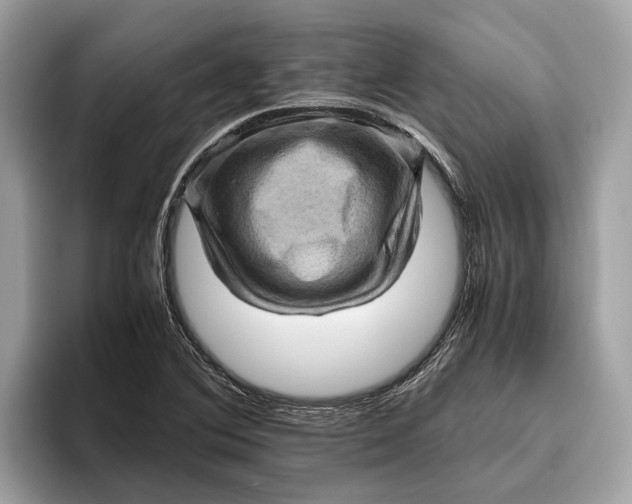 X0000096441364200802141443