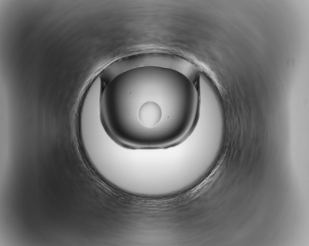 X0000096441365200802141443