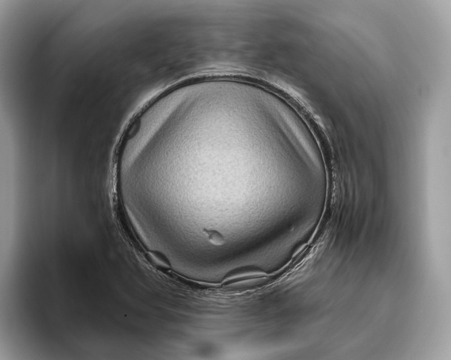 X0000096441366200802141443