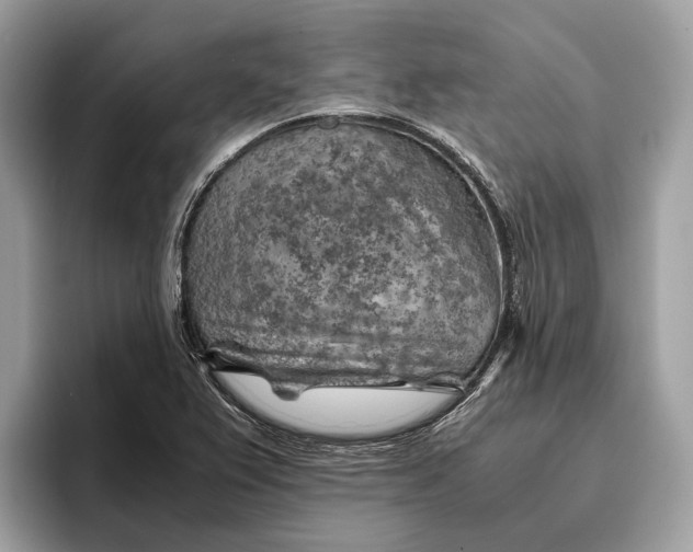 X0000096441367200802141443