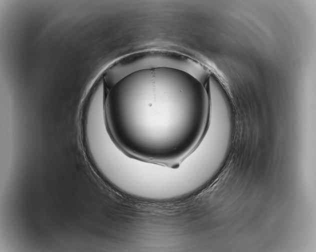 X0000096441368200802141443