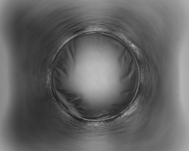 X0000096441369200802141443