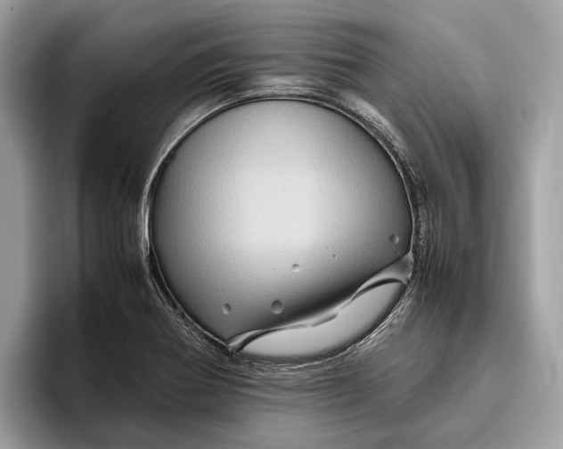 X0000096441370200802141443