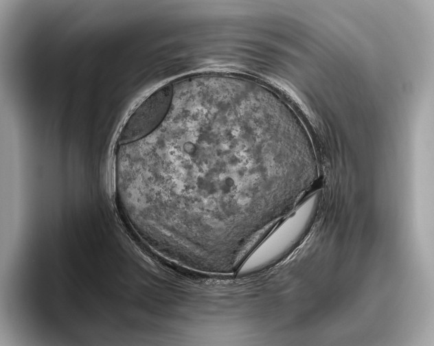 X0000096441371200802141443