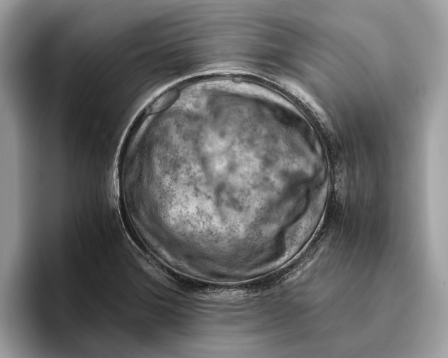 X0000096441372200802141443