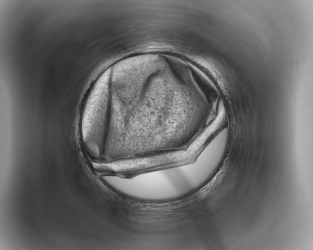 X0000096441374200802141443