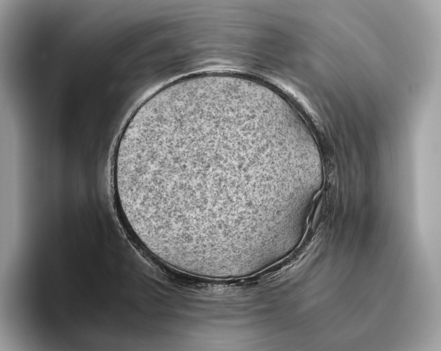 X0000096441375200802141443