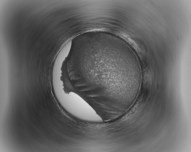 X0000096441377200802141443