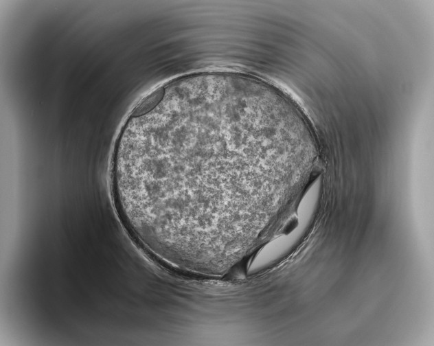 X0000096441379200802141443