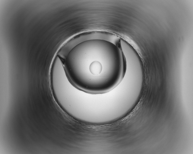 X0000096441380200802141443