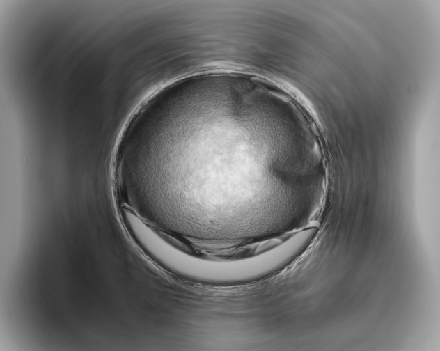 X0000096441381200802141443