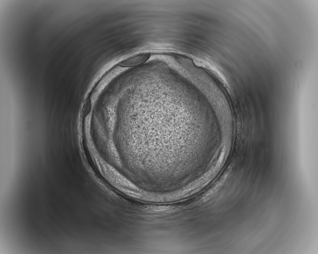 X0000096441382200802141443