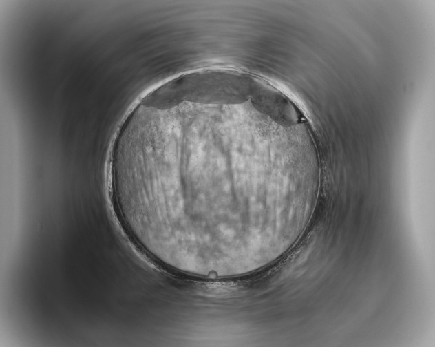 X0000096441383200802141443