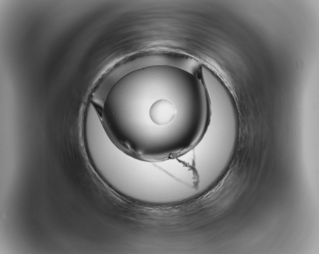 X0000096441384200802141443