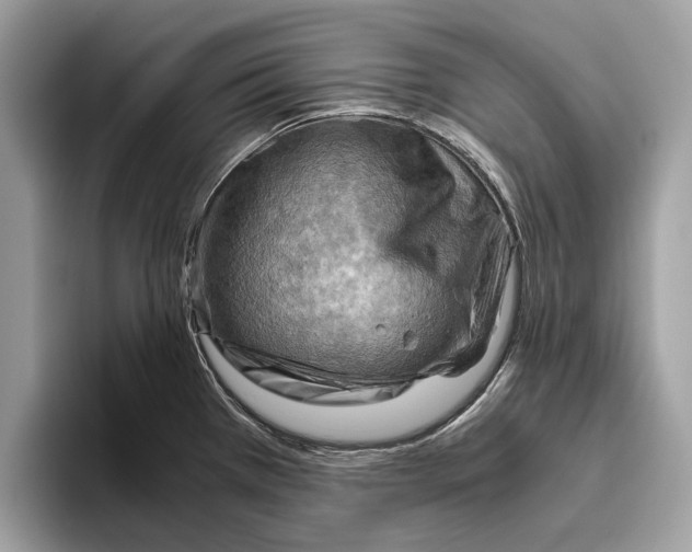 X0000096441385200802141443