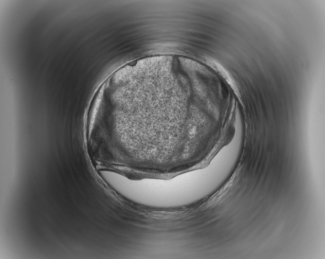 X0000096441386200802141443