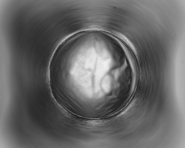 X0000096441388200802141443