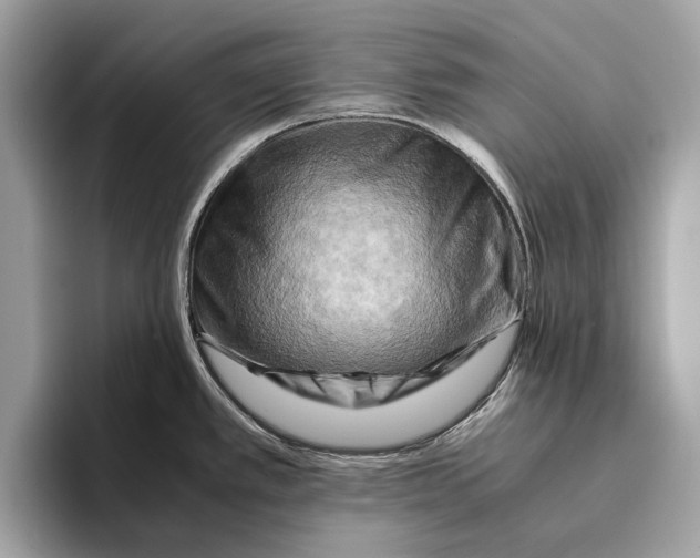 X0000096441389200802141443