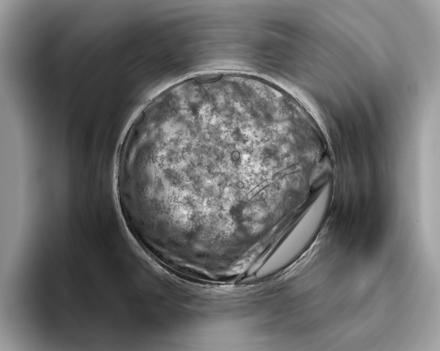 X0000096441390200802141443