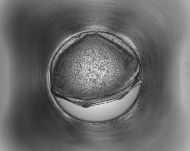 X0000096441391200802141443