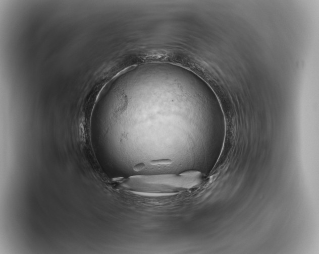 X0000096441394200802141442