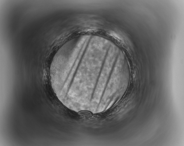 X0000096441397200802141442