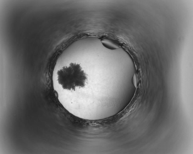 X0000096441398200802141442