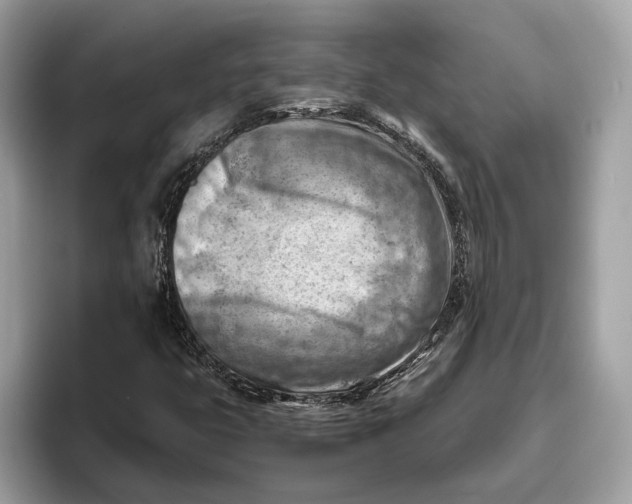 X0000096441399200802141442