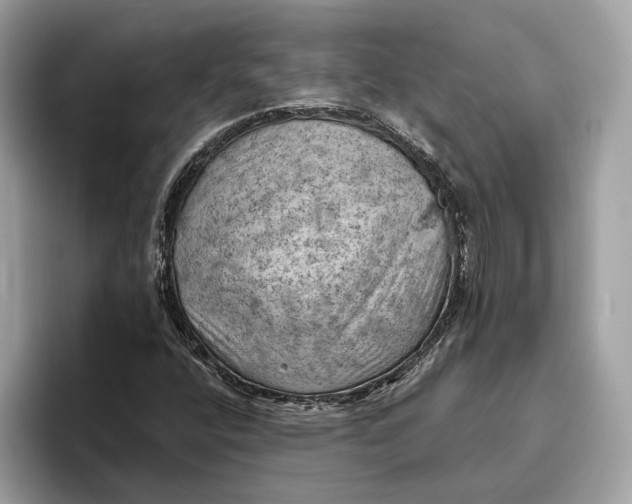 X0000096441400200802141442