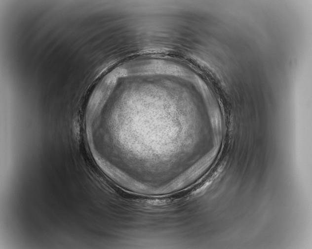 X0000096441401200802141442