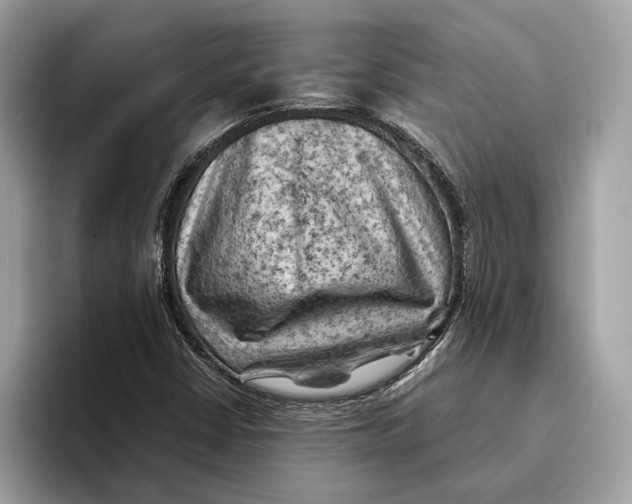 X0000096441402200802141442