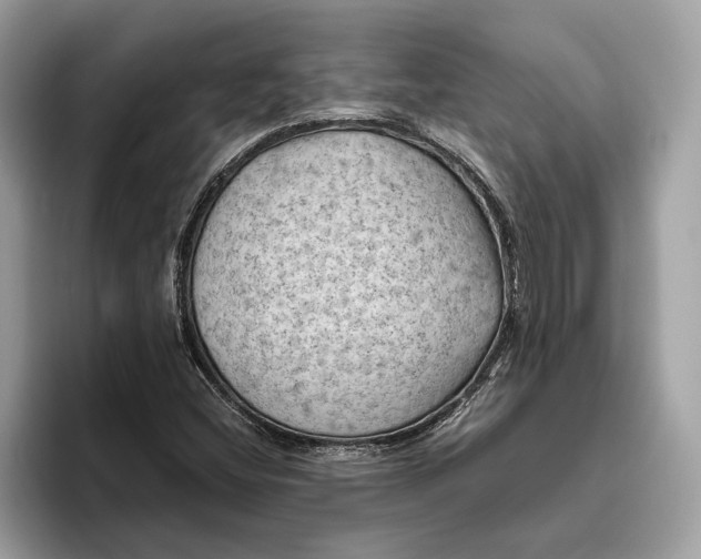 X0000096441404200802141442